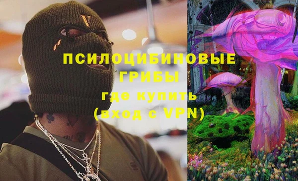 мяу мяу мука Майский