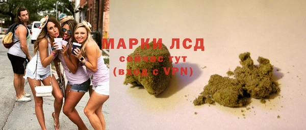 мяу мяу мука Майский